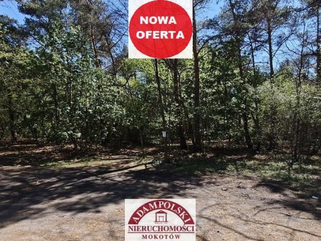 Działka budowlana 1618 m² w Wawrze – spokojna okolica