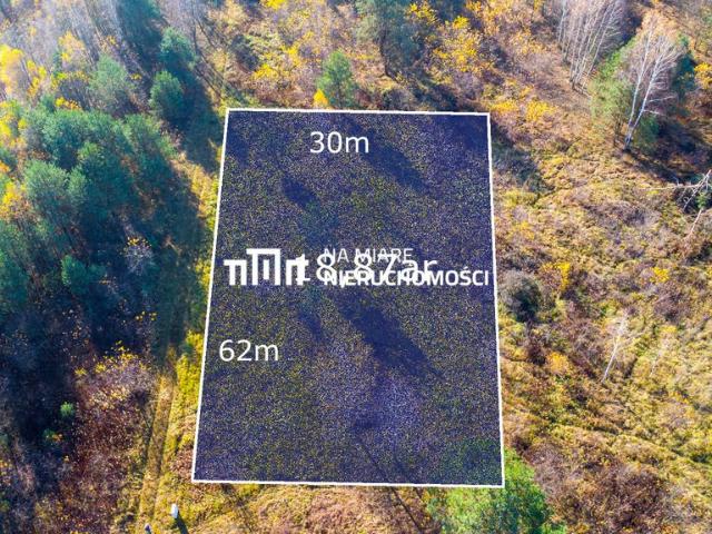 Działka budowlana 1887 m2 z warunkami zabudowy, las, blisko S19