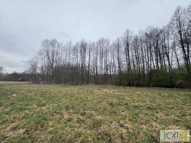 Działka budowlana 1916 m² z mediami, cisza i spokój