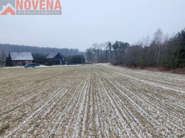 Oborniki Śląskie. Działka budowlana 200 m od lasu 1 579 m², Oborniki Śląskie