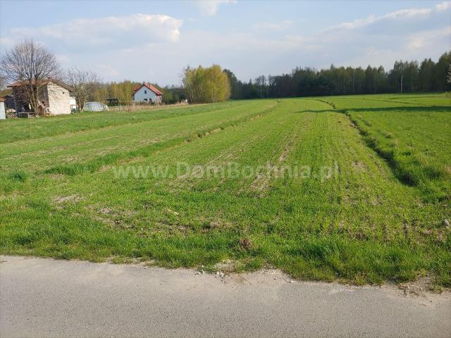 Działka budowlana 2077 m² z mediami i dojazdem asfaltowym