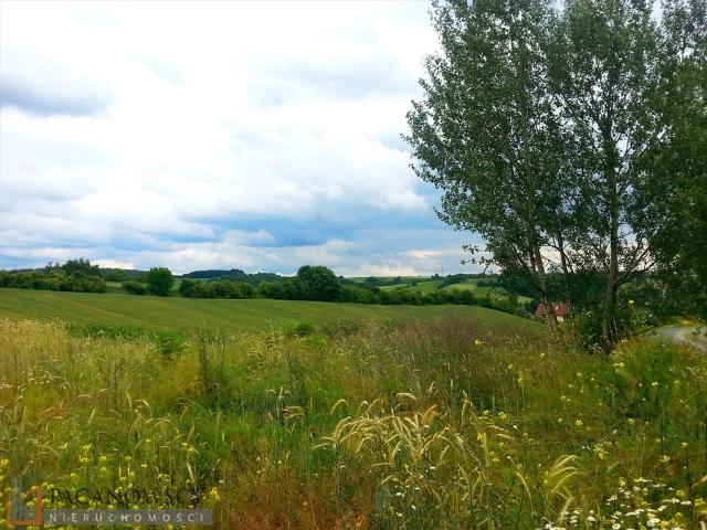 Działka budowlana 2081 m2 z mediami w Michałowicach