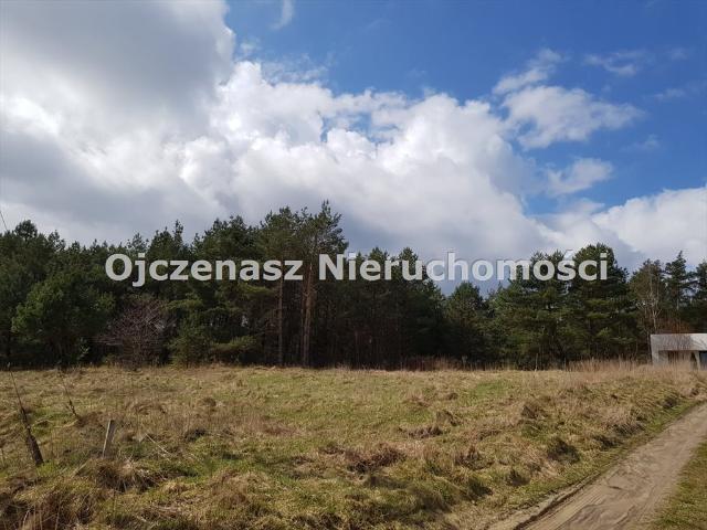 Działka budowlana 2287 m² z warunkami zabudowy, blisko natury