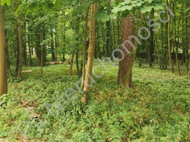 Działka budowlana 2500 m² w Milanówku, media, blisko PKP