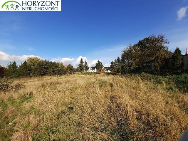 Do sprzedania działka budowlana 2658 m² z warunkami zabudowy