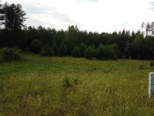 Działka budowlana 3004 m² pod dom w Szczycionku