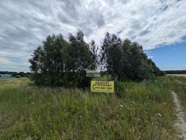 Działka budowlana 3107 m² w Żołędowie z warunkami zabudowy