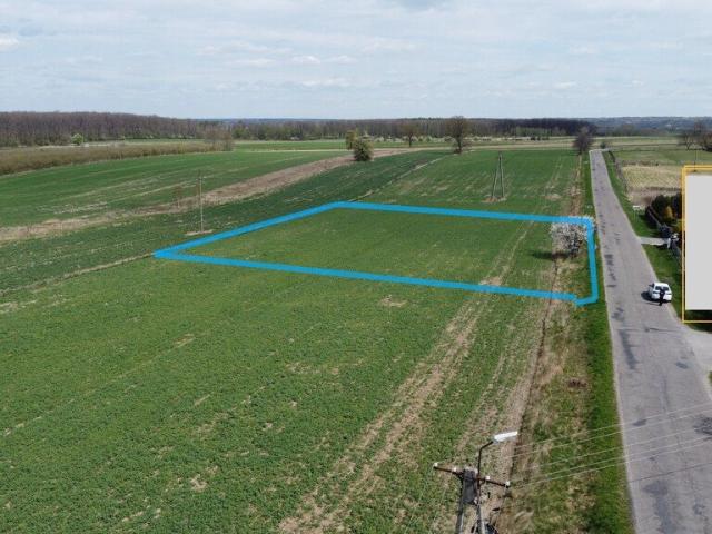 Działka budowlana 3163 m² w Wojszynie – spokojna okolica