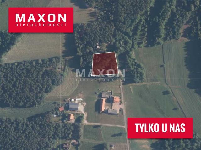 Działka budowlana 3600 m² w Kowalichie – idealna pod dom