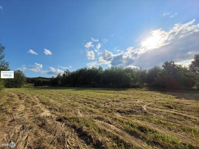 Działka budowlana 3797 m² w Masłowie Drugi – blisko Kielc