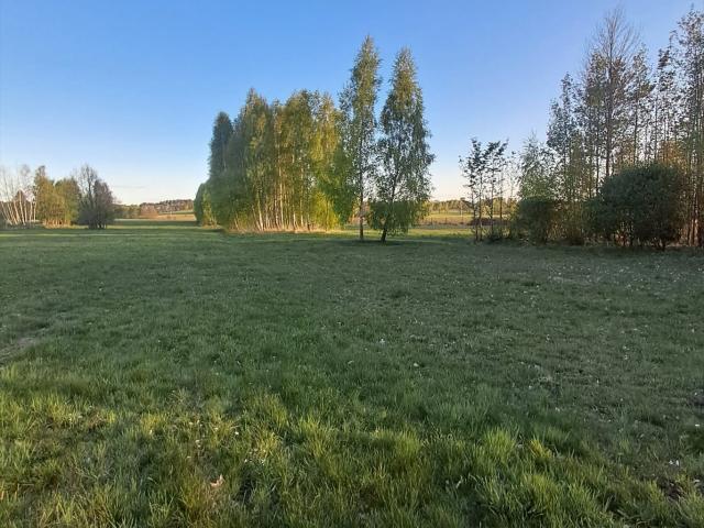 Działka budowlana 3900 m² z warunkami zabudowy, media, asfalt
