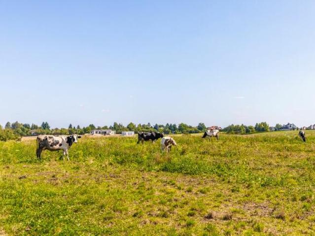 Działka budowlana Uniszowice gm. Konopnica
