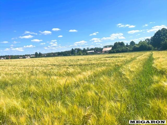 Działka budowlana w Opatowie z potencjałem, 4700 m²