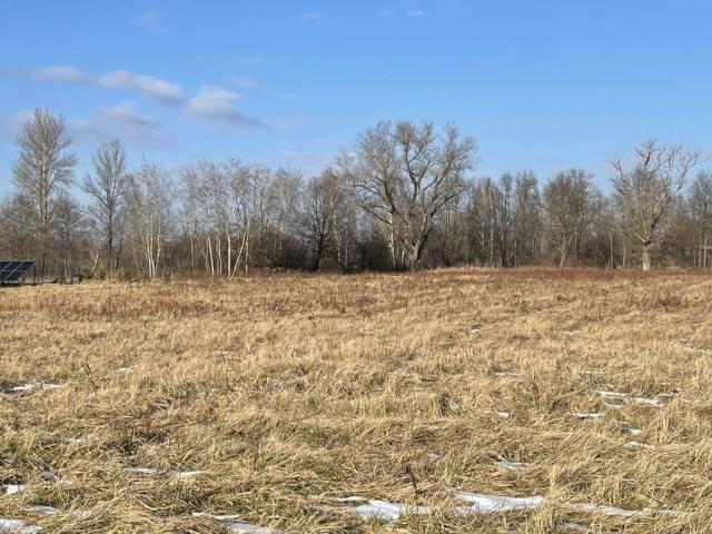 Działka budowlana 2923 m² przy drodze asfaltowej, staw, media