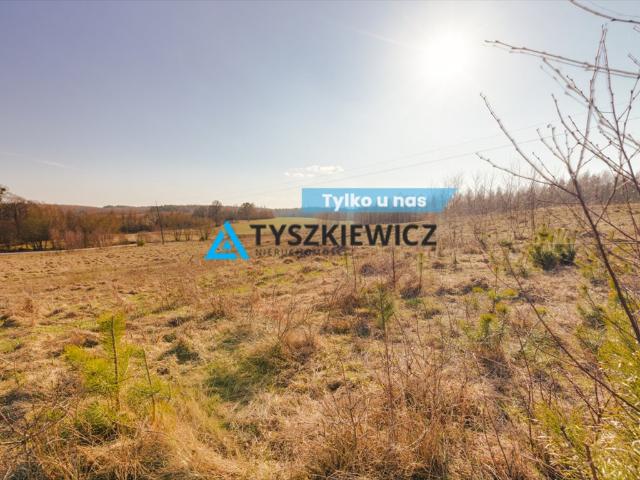 Działka budowlana w Szczodrowie – 1165 m2, spokojna okolica