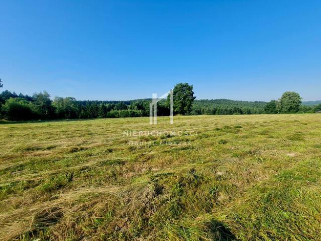 Działka budowlana Święcany gm. Skołyszyn