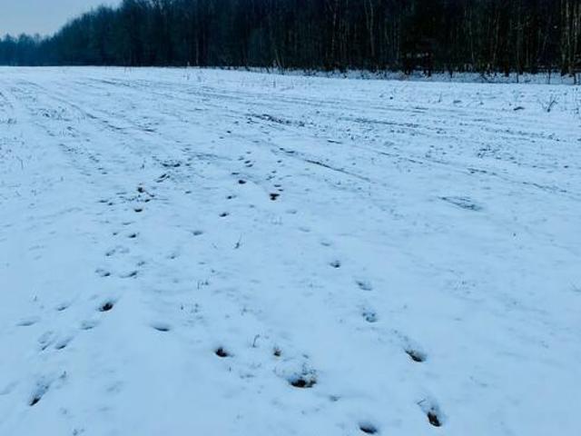 Działka budowlana Wola Rzędzińska gm. Tarnów