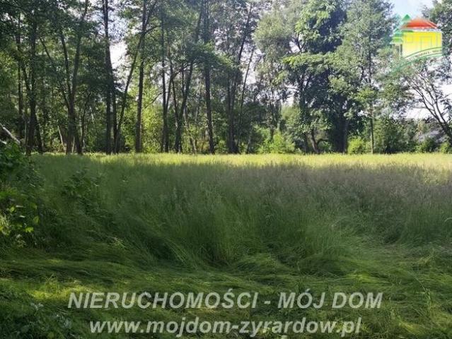 Działka budowlana Adamów Wieś gm. Radziejowice