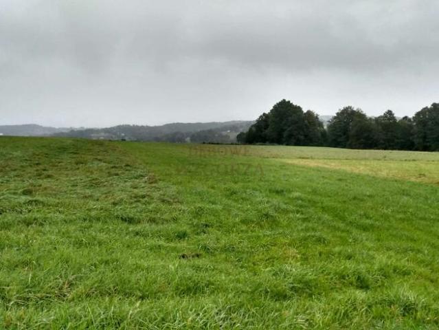 Działka budowlana Łapanów