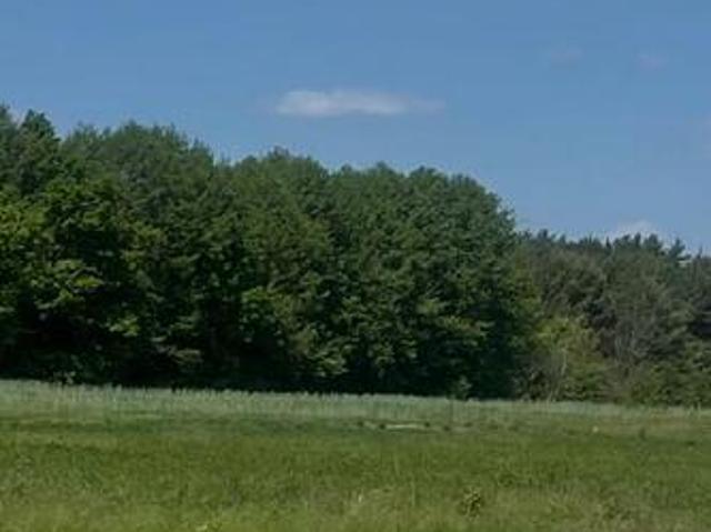 Działka budowlana blisko lasu, idealna inwestycja