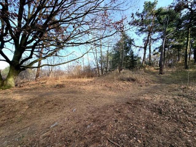 Działka budowlana Gdynia Grabówek, Marii Curie Skłodowskiej