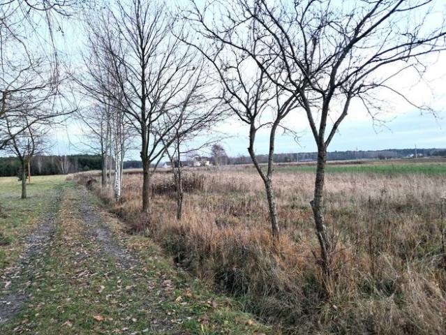 Działka budowlana Kaleń Drugi gm. Sobolew