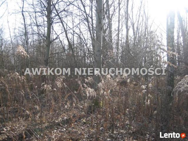 Działka budowlana Milanówek Milanówek
