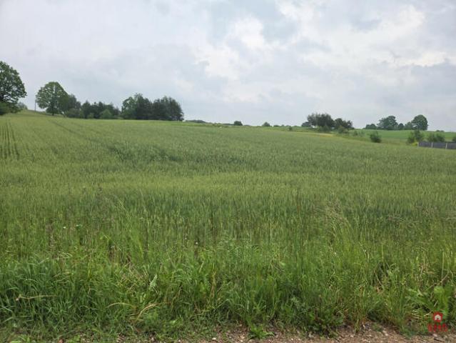 Działka budowlana Okuniowiec gm. Suwałki