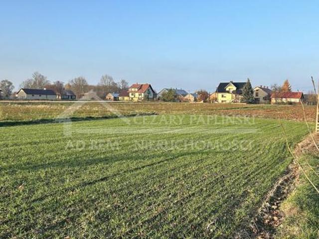 Działka budowlana Stasiówka gm. Łomazy, Stasiówka