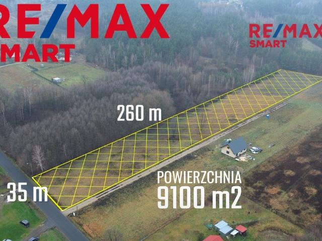 Do sprzedania działka 9100 m² z warunkami zabudowy