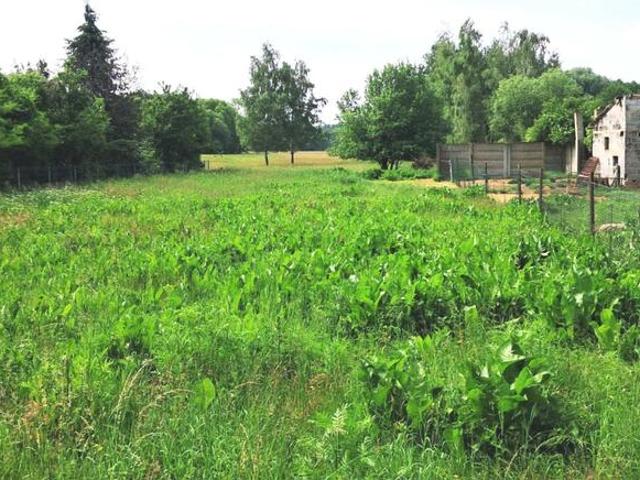 Działka budowlano rolna 11 800 m2 m2 w gm. Radziejowice