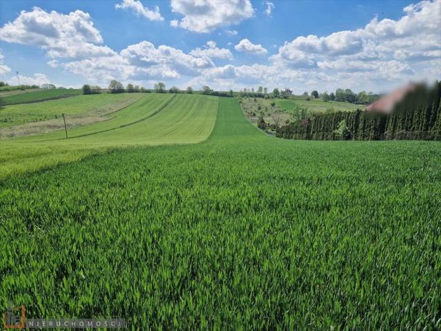 Działka budowlano rolna 1348 m2 z mediami w Masłomiący