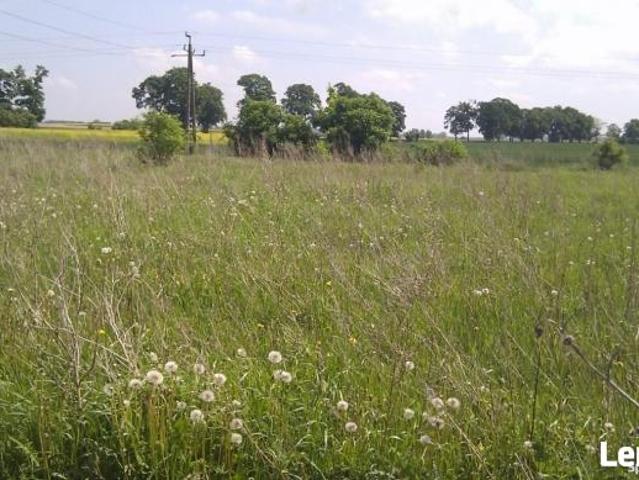 Działka budowlano rolna 3021mkw.B RIIIa JezioroBabińskie