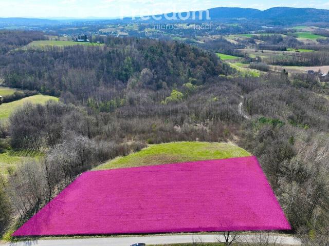 Działka, Błażkowa, 4544.00 m², sprzedam działkę