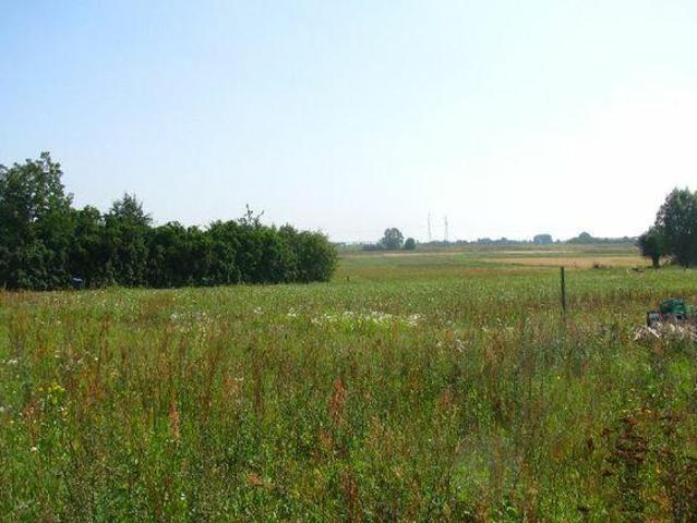 Działka Baczyna