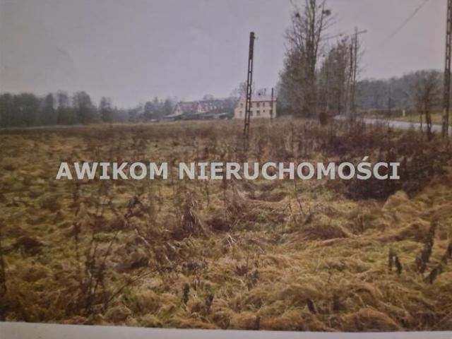 Działka Białowieża Zastawa Krzyże