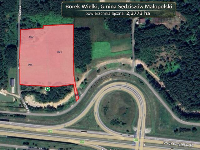 Działka, Borek Wielki, 23773.00 m², sprzedam działkę