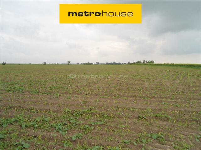 Działka, Czarne Piątkowo, 25565.00 m², sprzedam działkę