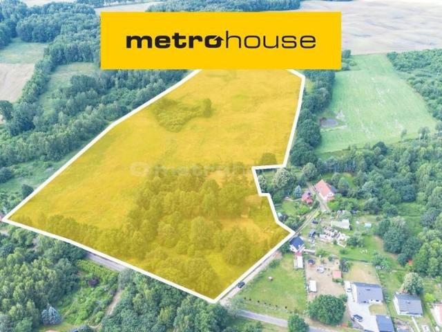Działka, Ciemino, 82217.00 m², sprzedam działkę