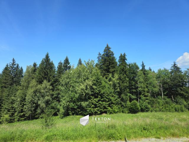 Działka, Duszniki Zdrój, Sudecka, 842.00 m², sprzedam działkę