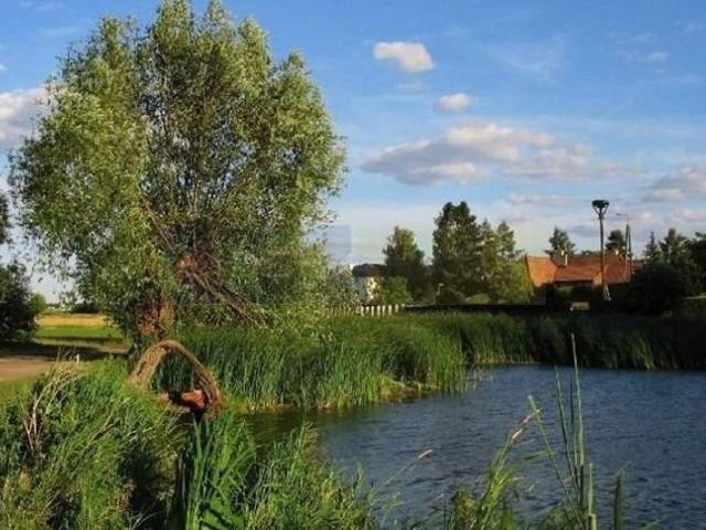 Działka, Dziekanów Polski, 10700.00 m², sprzedam działkę