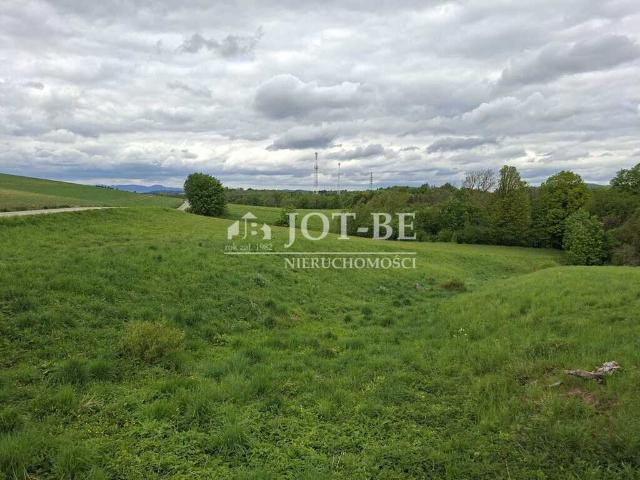 Działka, Dębowina, 17952.00 m², sprzedam działkę