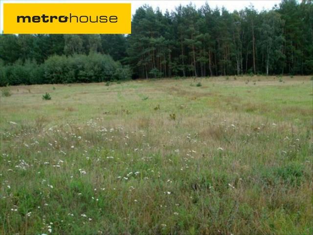 Działka, Daszewice, 20300.00 m², sprzedam działkę