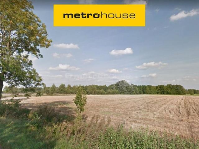 Działka, Dopiewo, 30000.00 m², sprzedam działkę