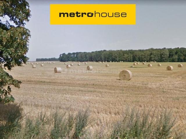 Działka, Dopiewo, 59500.00 m², sprzedam działkę