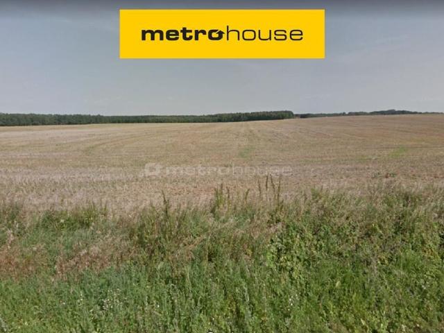 Działka, Dopiewo, 97776.00 m², sprzedam działkę