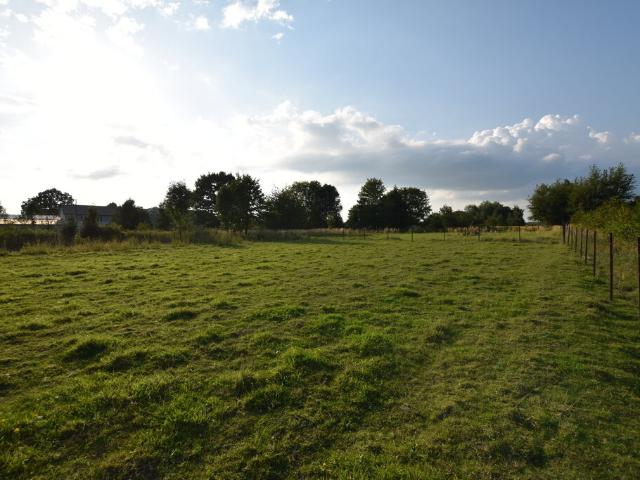 Działka, Głogów Małopolski, 10375.00 m², sprzedam działkę