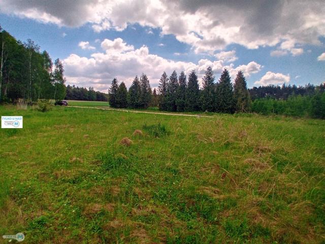 Działka, Gnojno, 17100.00 m², sprzedam działkę