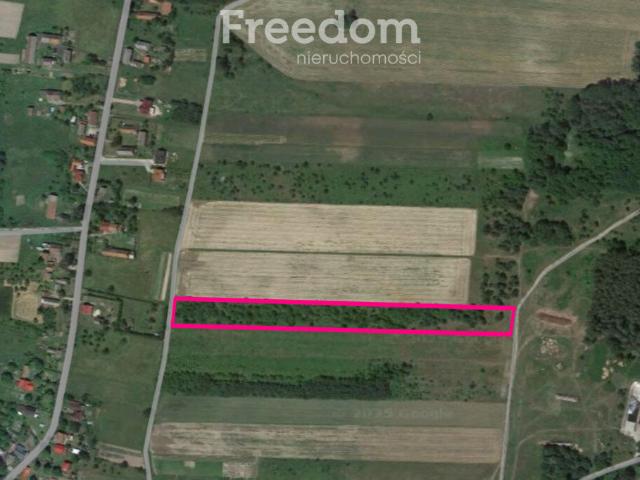 Działka, Godzięcin, 14500.00 m², sprzedam działkę
