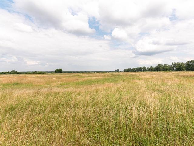 Działka, Goleniów, Łąkowa, 25732.00 m², sprzedam działkę